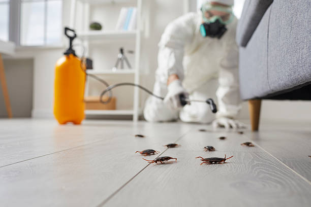 Trusted Termite Control service in Happy Valley, OR - Nex Pest Control