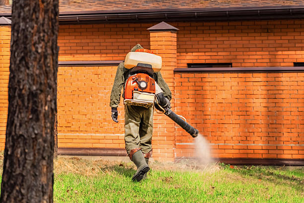 Trusted Ant Control service in Happy Valley, OR - Nex Pest Control